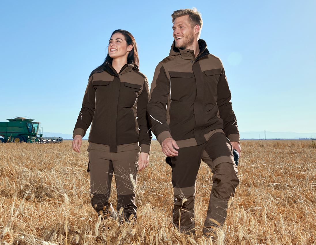 Work Trousers: Functional trousers e.s.dynashield + hazelnut/chestnut 3