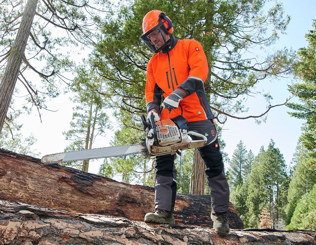 Work Trousers: e.s. Forestry cut protection trousers, KWF + grey/high-vis orange 1