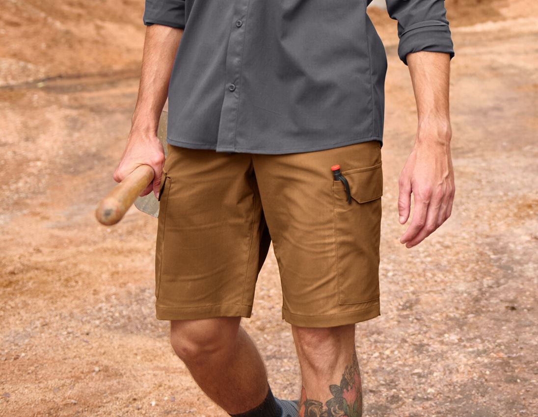 Clothing: Shorts e.s.t:aktik light ripstop + desertbrown