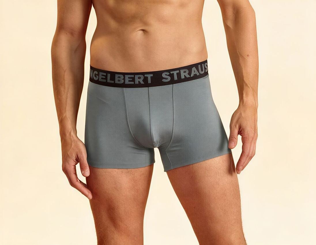 Underwear | Functional Underwear: e.s. Modal stretch pants, pack of 2 + nordicgrey+black