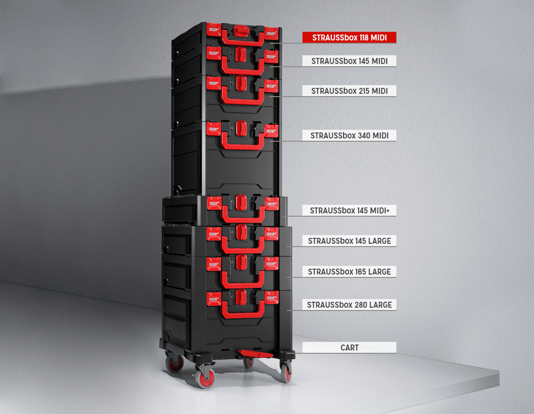 STRAUSSbox System: Socket wrench set lockfix 1/4+1/2 in STRAUSSbox 4