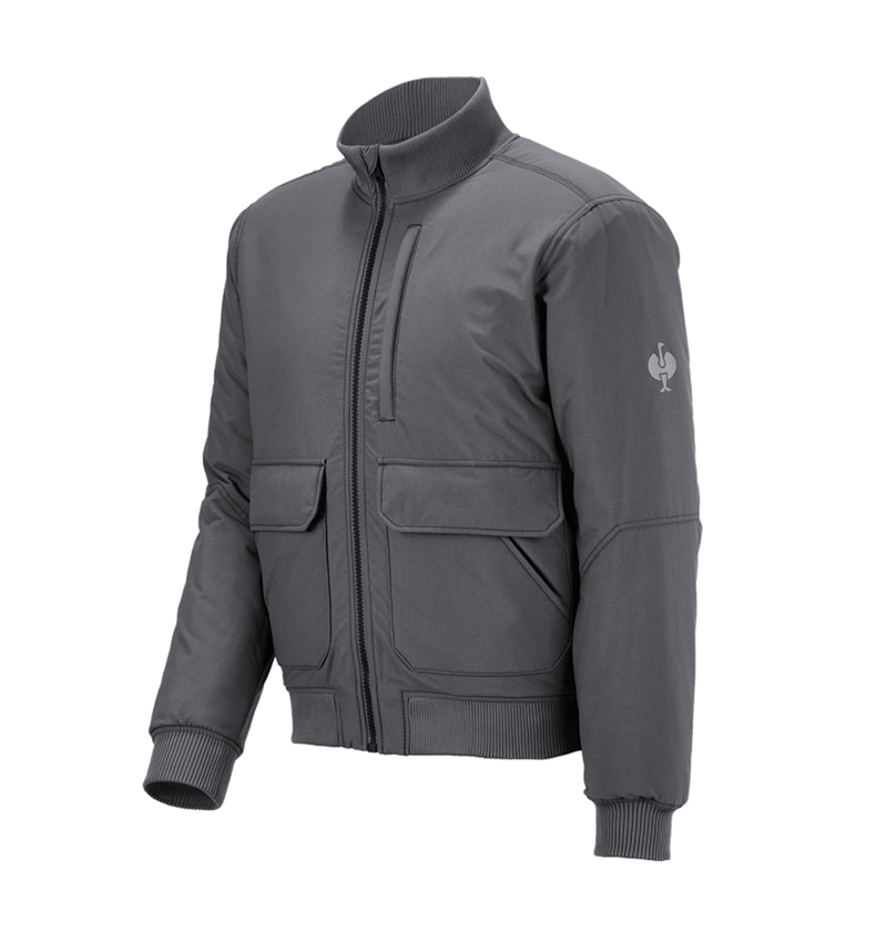 Vestes de travail: Blouson aviateur e.s.iconic + gris carbone 4