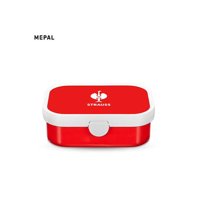 Accessories: e.s. Lunch box midi Kids