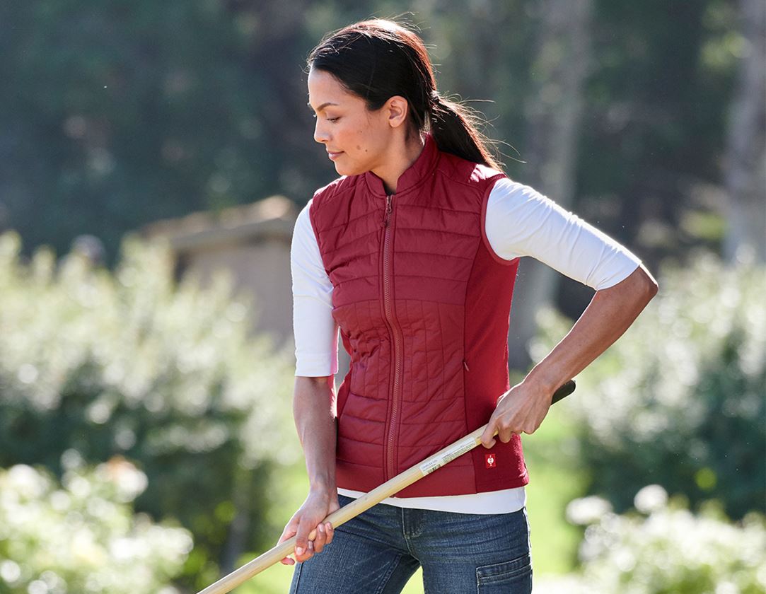 Thèmes: e.s. Gilet matelassé fonctionnel thermo stretch,f. + rubis 1