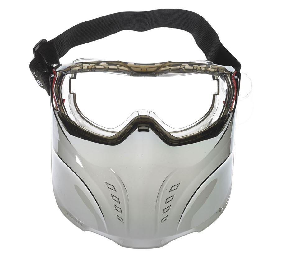 Face Protection: e.s. Face mask Visor