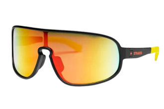 Race sunglasses e.s.ambition
