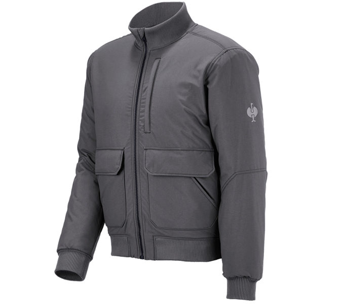 Hauptansicht, Winterjacken, Pilotenjacke e.s.iconic, carbongrau