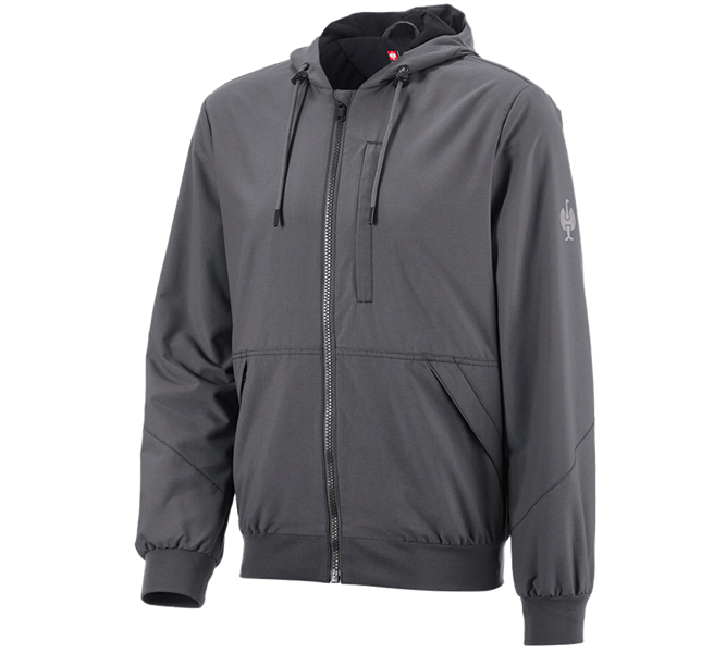 Hauptansicht, e.s.iconic, Kapuzenjacke e.s.iconic, carbongrau