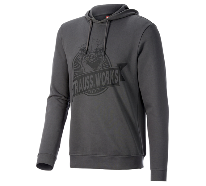 Vista principale, Idee regalo, Hoody-felpa e.s.iconic works, grigio carbone