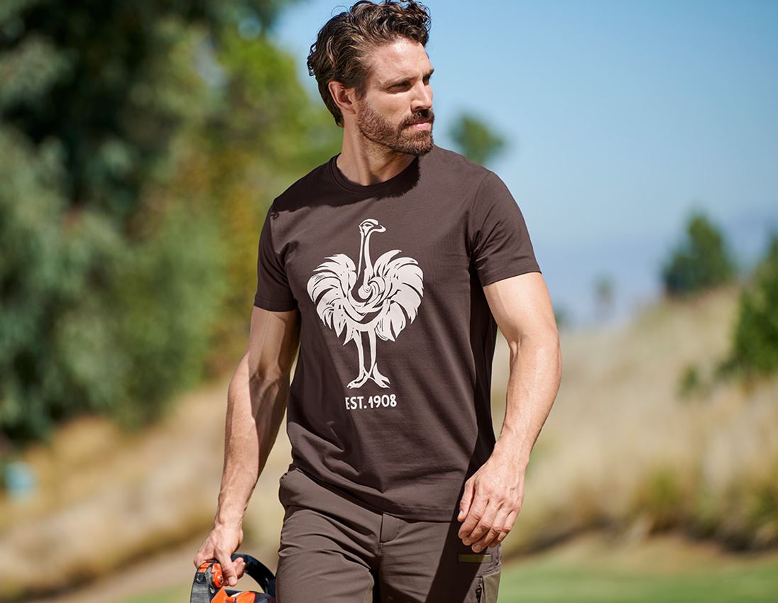 Shirts & Co.: e.s. T-Shirt 1908 + kastanie/weiß