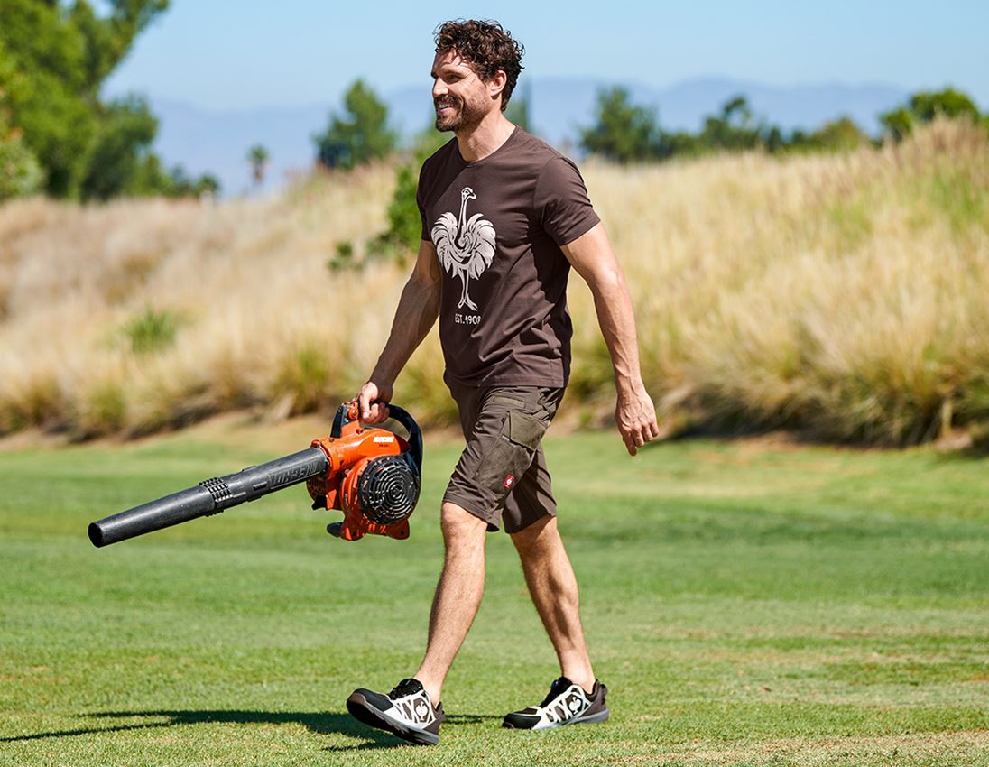 Shirts & Co.: e.s. T-Shirt 1908 + kastanie/weiß 1