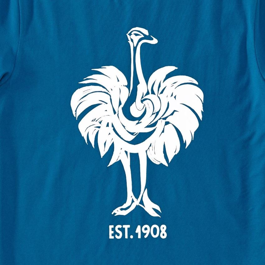 Maglie | Pullover | Camicie: e.s. t-shirt 1908 + atollo/bianco 2