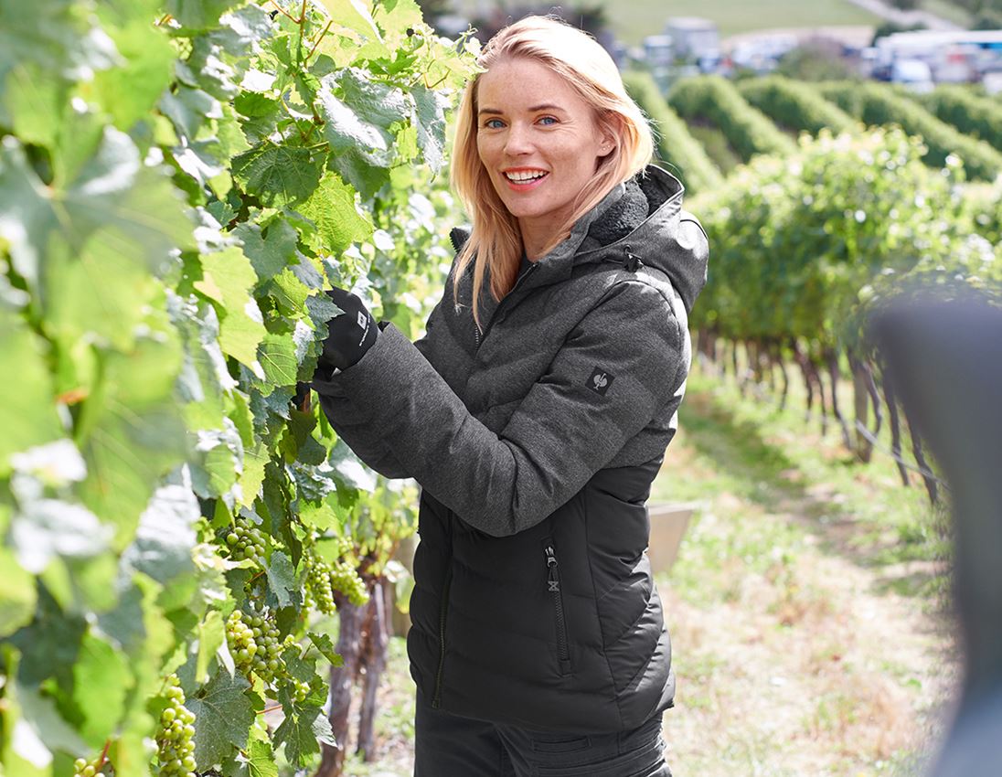 Jacken: Winterjacke e.s.motion ten, Damen + oxidschwarz 1