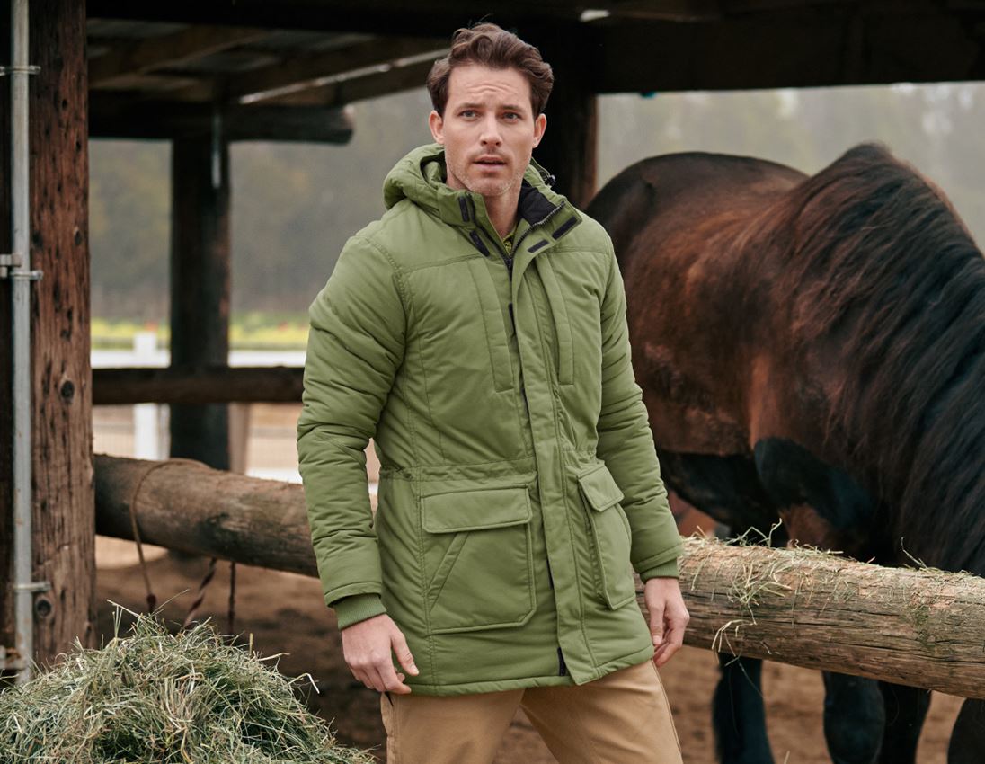 Jacken: Parka e.s.iconic + berggrün