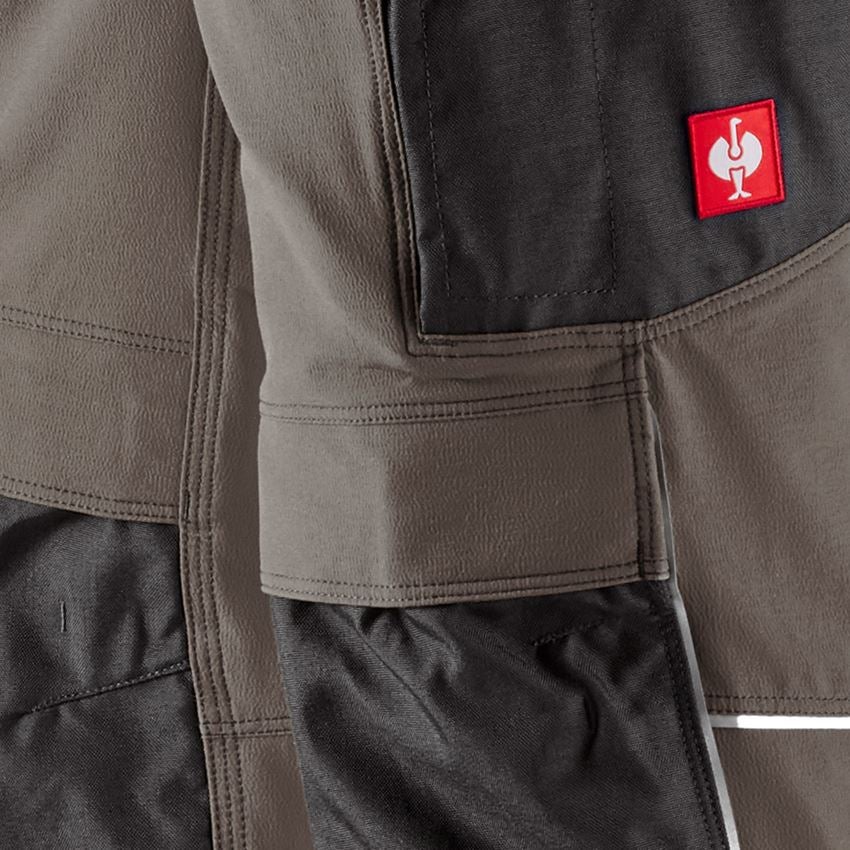 Themen: Funktions Bundhose e.s.dynashield + stein/schwarz 2