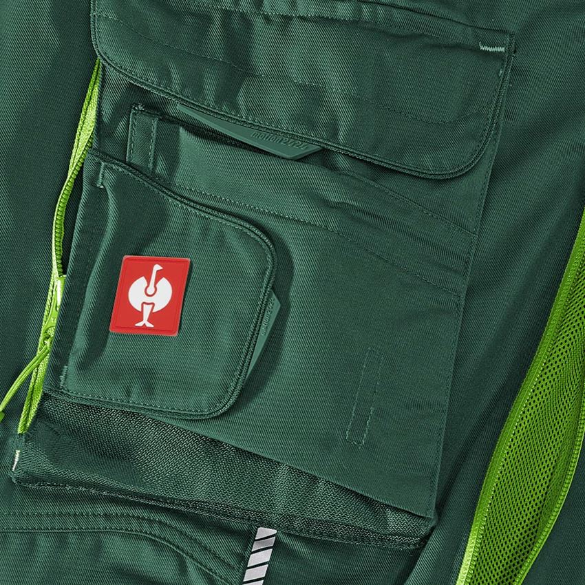 Hosen: Bundhose e.s.motion 2020 + grün/seegrün 2