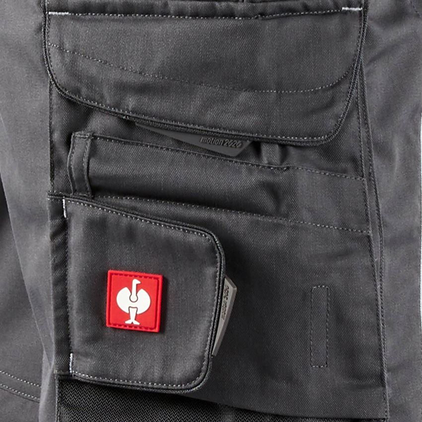 Hosen: Latzhose e.s.motion 2020 + anthrazit/platin 2