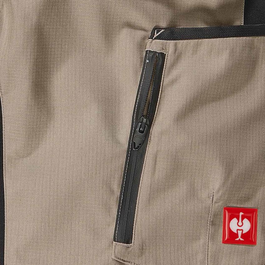 Hosen: Short e.s.vision, Herren + lehm/schwarz 2