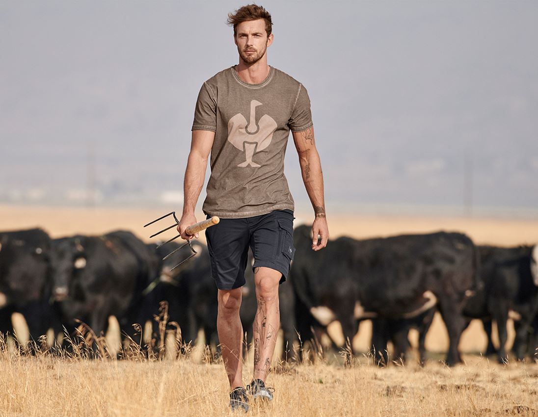 Themen: Short e.s.motion ten + oxidschwarz 1