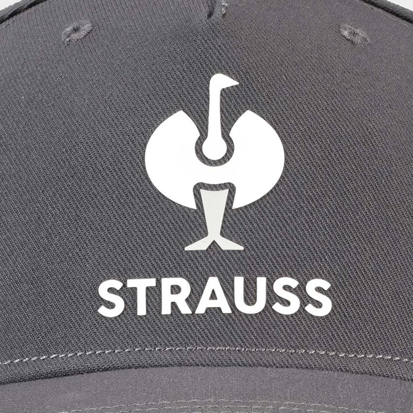 Accessori: Cappellino e.s.concrete + antracite  2