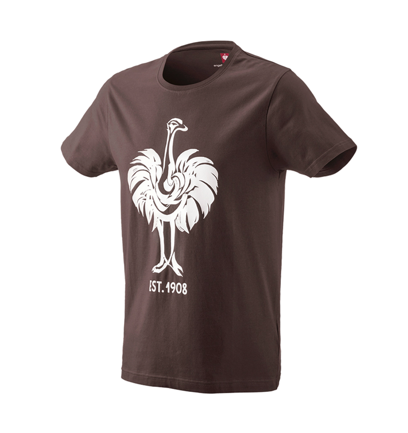 Shirts & Co.: e.s. T-Shirt 1908 + kastanie/weiß 2