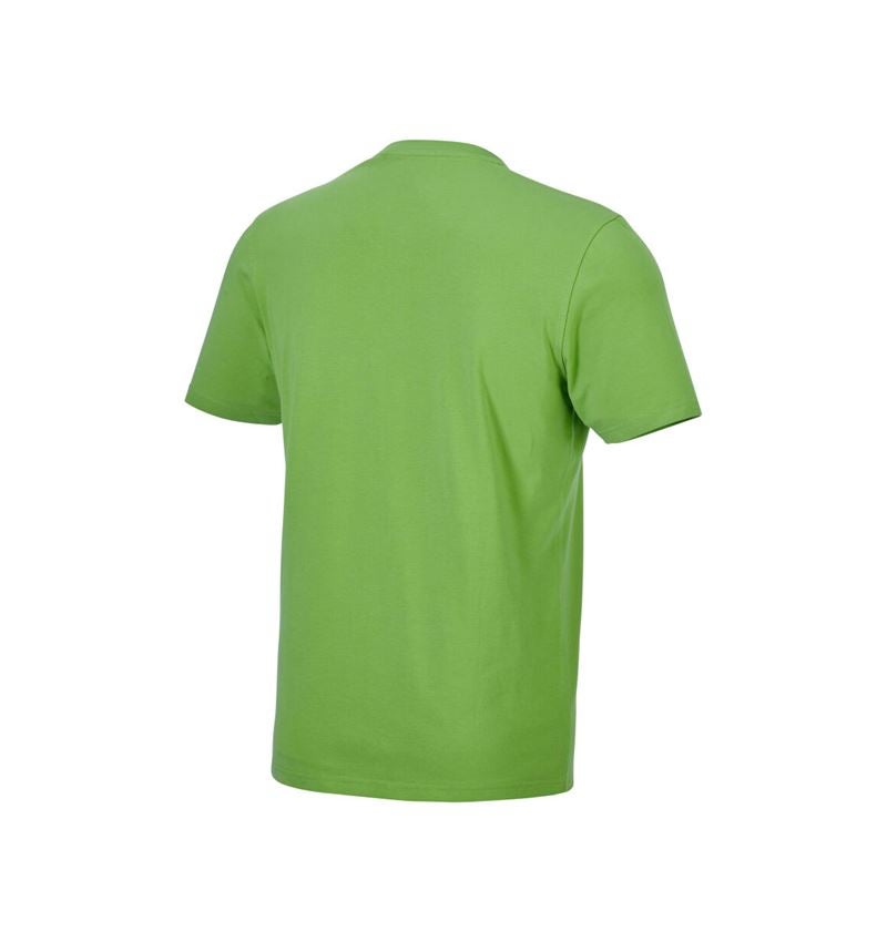 Shirts & Co.: T-Shirt e.s.e:pic + seegrün/kastanie 2