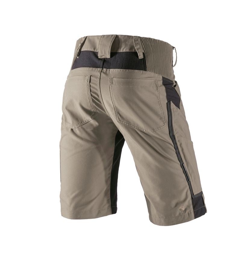 Hosen: Short e.s.vision, Herren + lehm/schwarz 3
