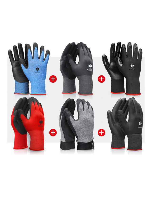 Sets | Zubehör: Handschuh-Profi-Set KFZ