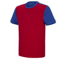 e.s. T-shirt cotton stretch bicolor