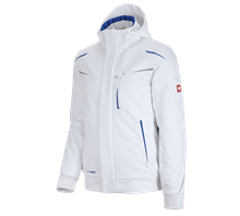 Winter softshelljack e.s.motion 2020, heren