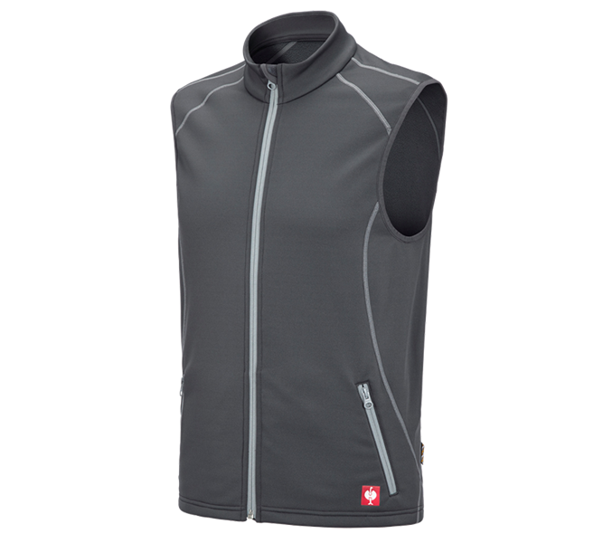 Hoofdaanzicht, Werkvesten, Function bodywarmer thermostretch e.s.motion 2020, antraciet/platina
