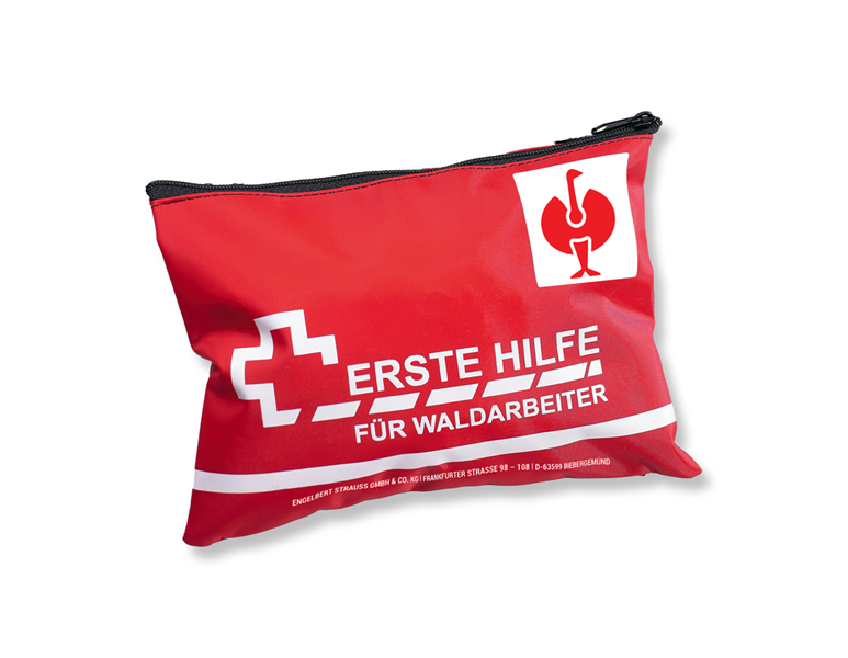 Hoofdaanzicht, Koffer | Kasten, Bosbouwers EHBO-set