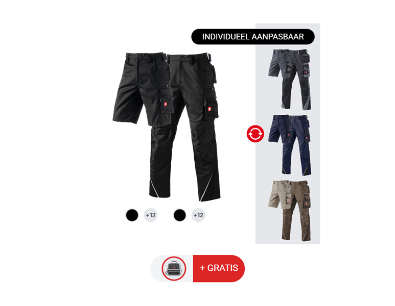 HERENSET: werkbroek + short e.s.motion