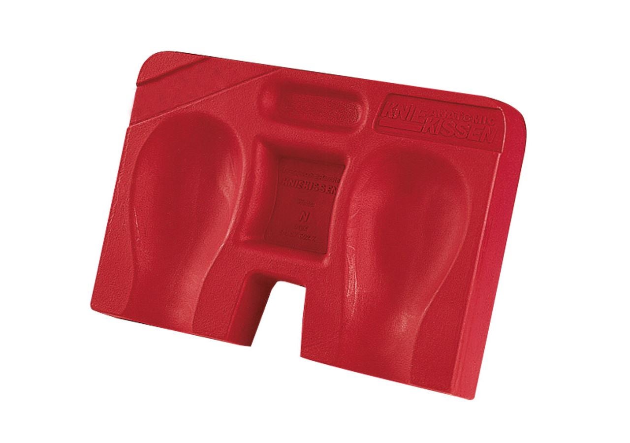 Kniebescherming: Kniekussen Anatomic