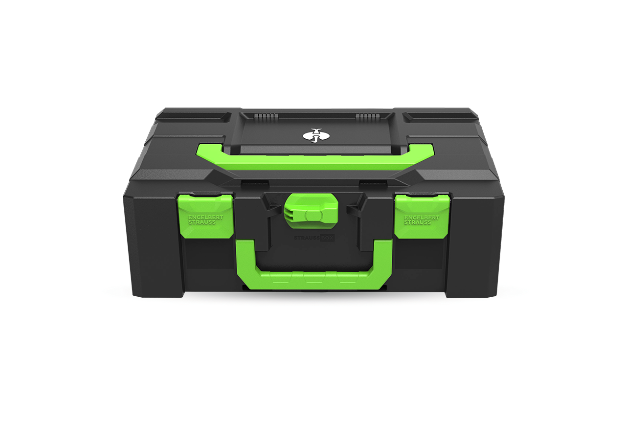 STRAUSSbox Systeem: STRAUSSbox 165 large Color + zeegroen