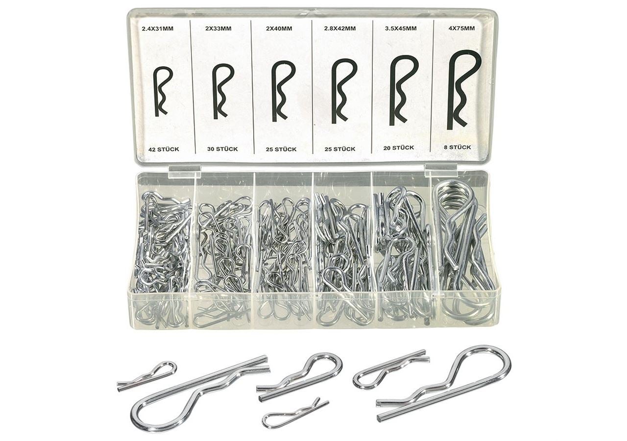 Assortiment kleine onderdelen: Assortiment vergrendelpennen
