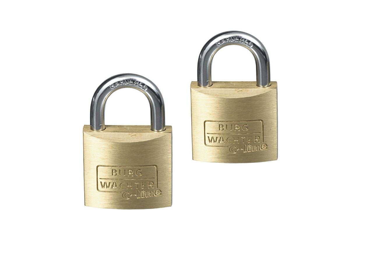 Kleine onderdelen: Set hangsloten 222 C-Line, gelijksluitend
