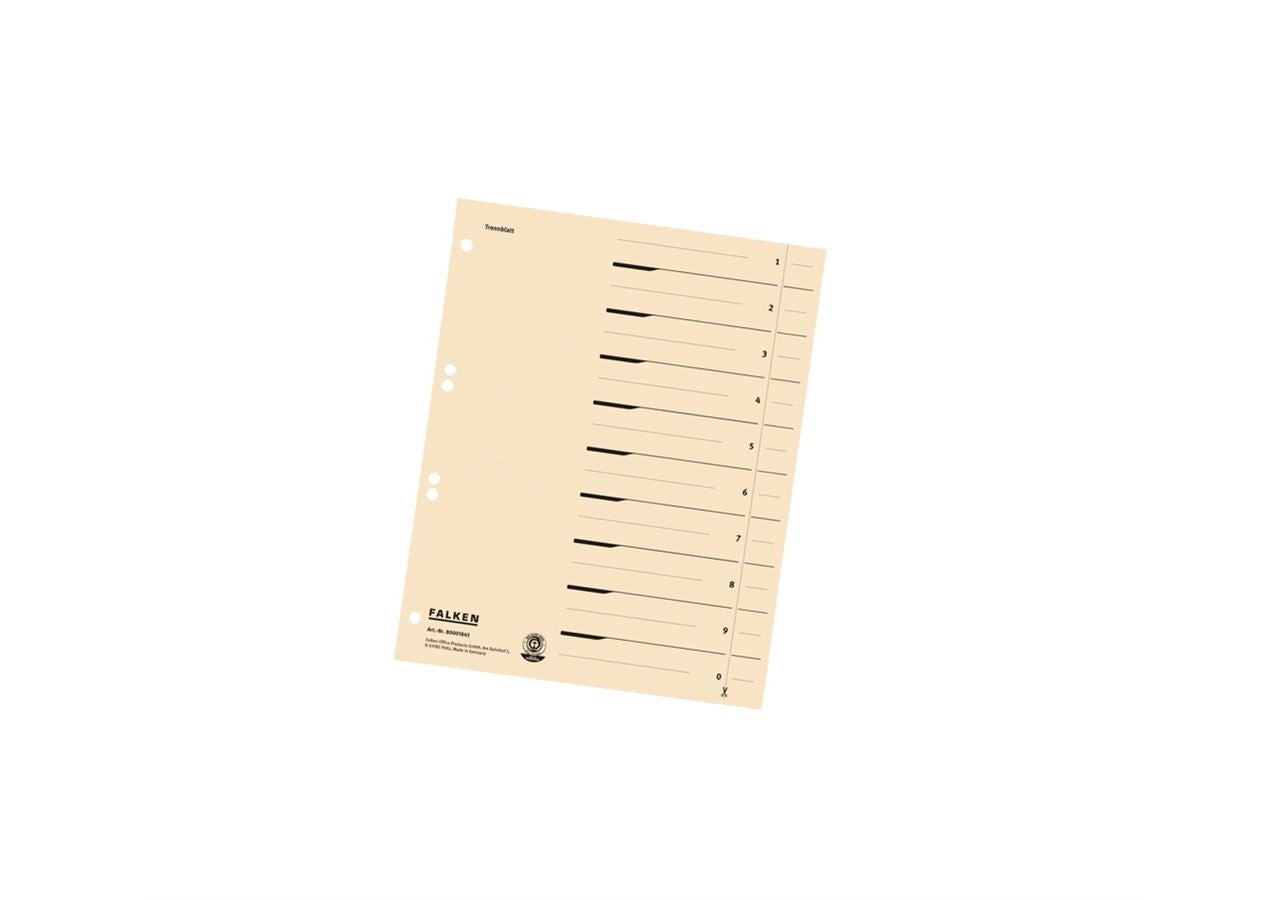 Organisatie: Falken tabbladen + chamois