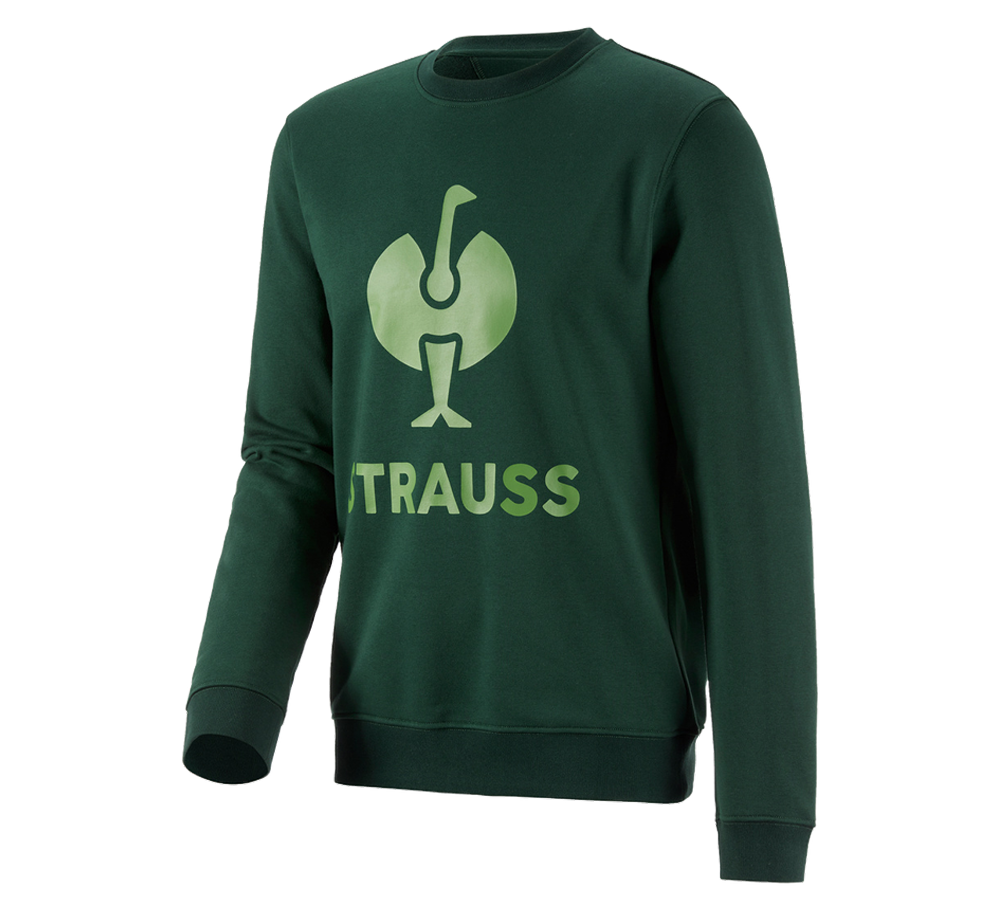 Bovenkleding: Sweatshirt e.s.motion 2020 + groen/zeegroen