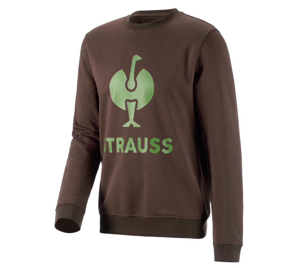 Bovenkleding: Sweatshirt e.s.motion 2020 + kastanje/zeegroen