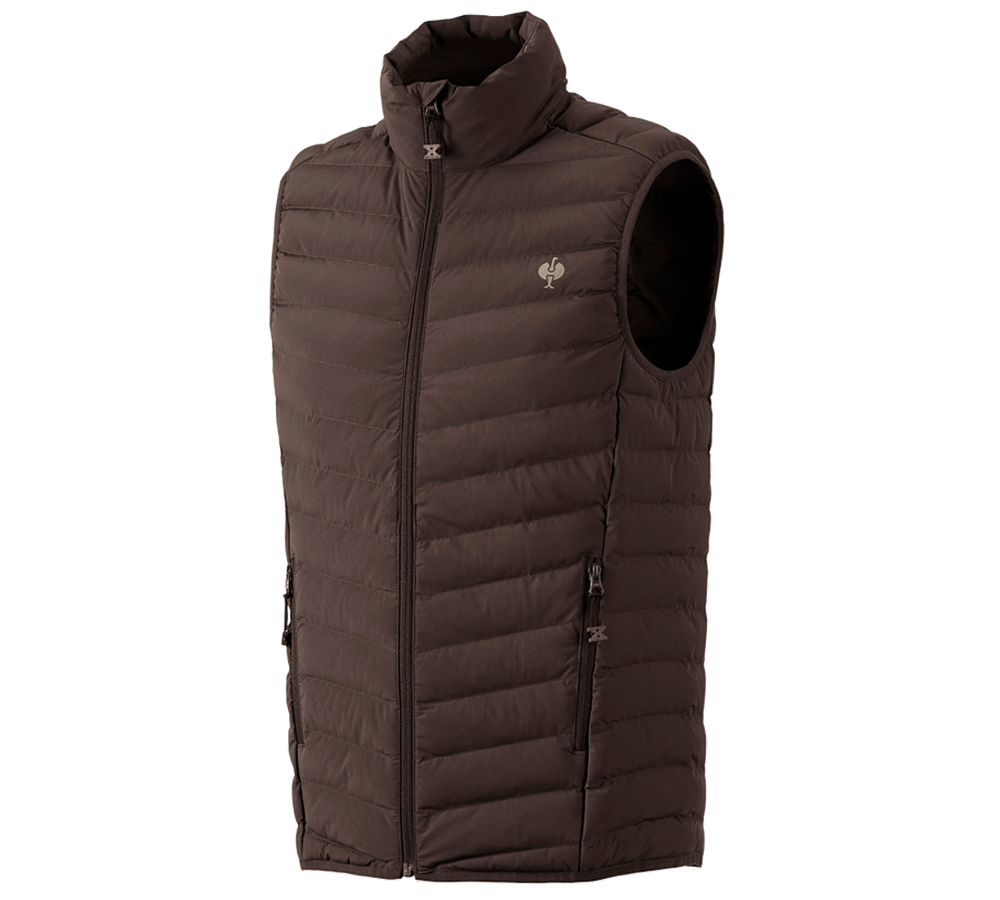 Werkvesten: Bodywarmer e.s.motion ten + kastanje