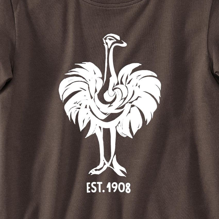 Bovenkleding: e.s. T-Shirt 1908, kinderen + kastanje/wit 2