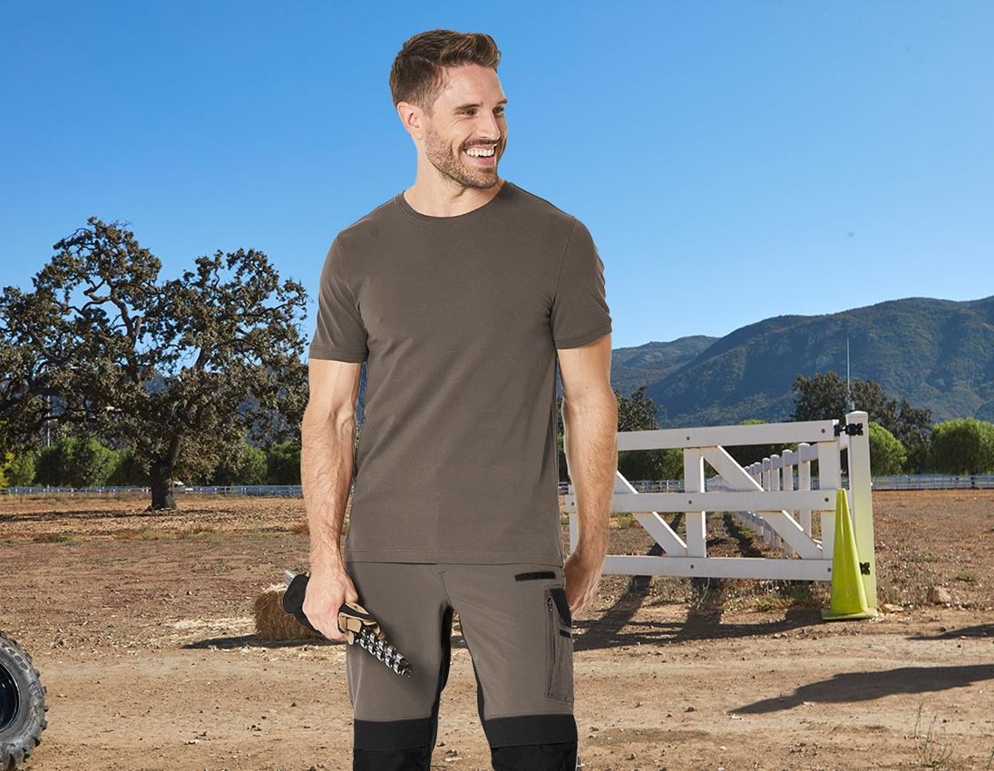 Bovenkleding: e.s. T-Shirt cotton stretch, slim fit + steen