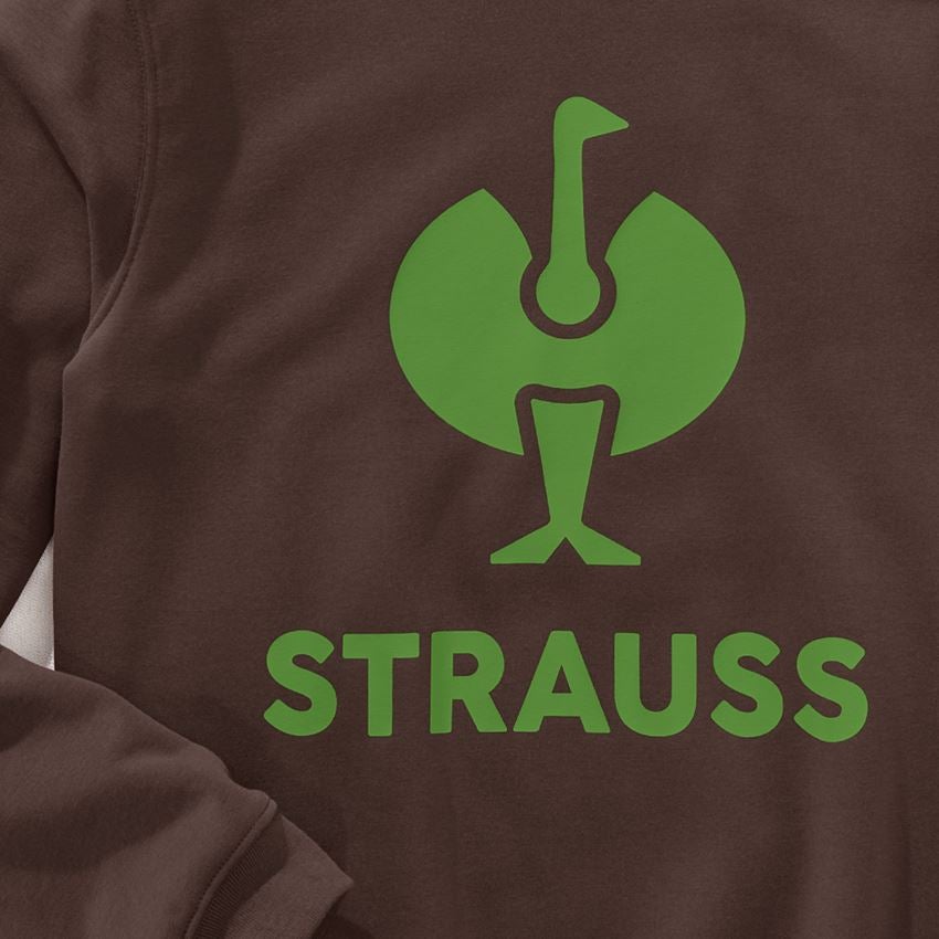 Bovenkleding: Sweatshirt e.s.motion 2020 + kastanje/zeegroen 2