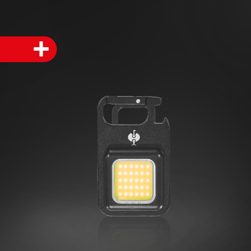 Kleding: SET: e.s. Hoody-Sweatshirt+ Sweatshirt poly cotton + donkerblauw 2