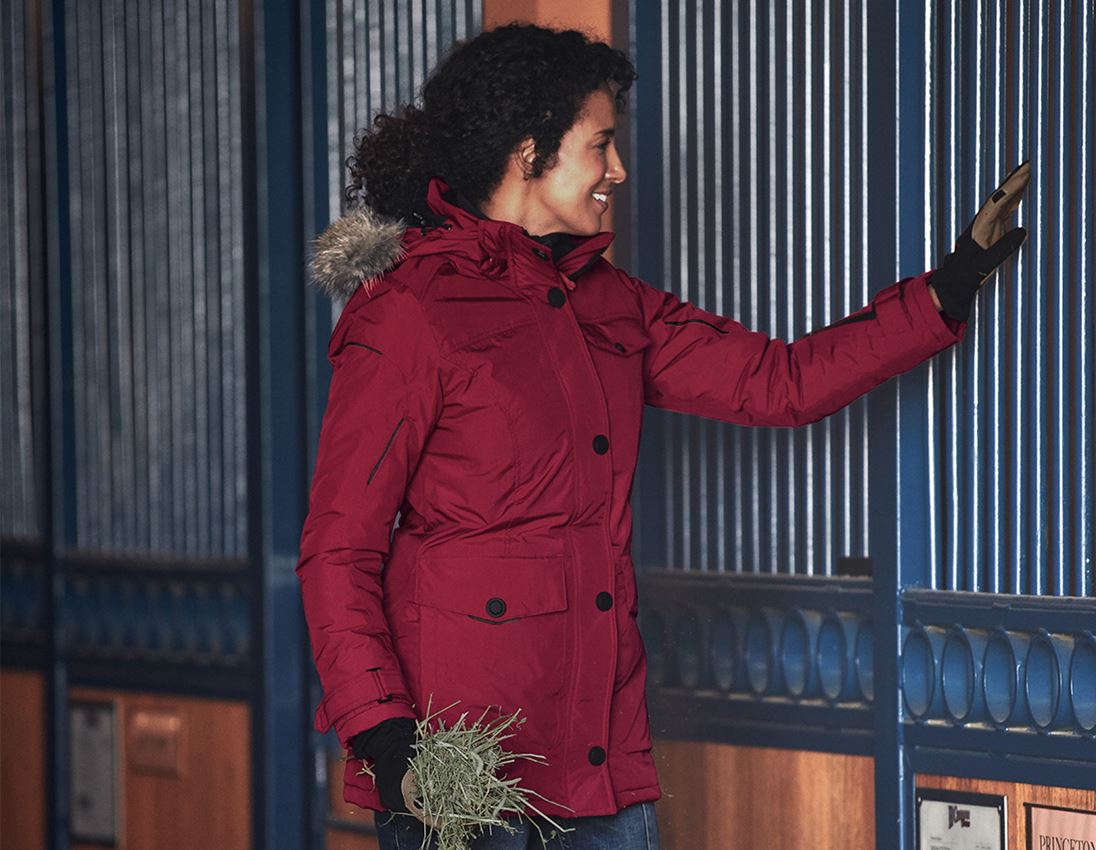 Werkjassen: Winterparka e.s.vision, dames + robijn 1