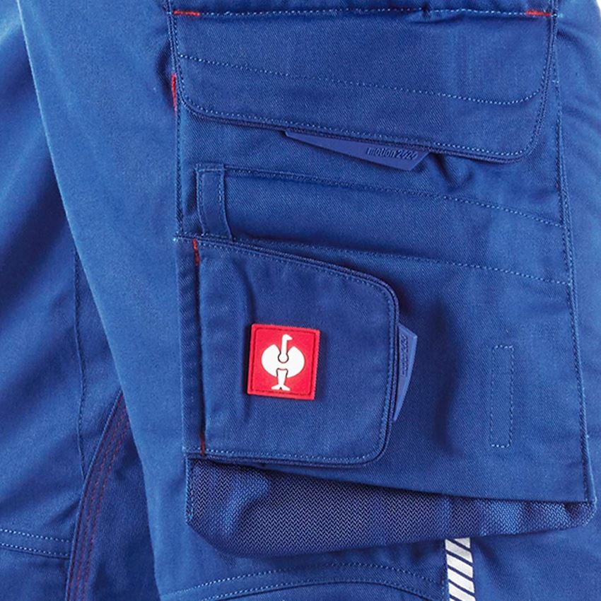 Werkbroeken: Werkbroek e.s.motion 2020 + korenblauw/vuurrood 2