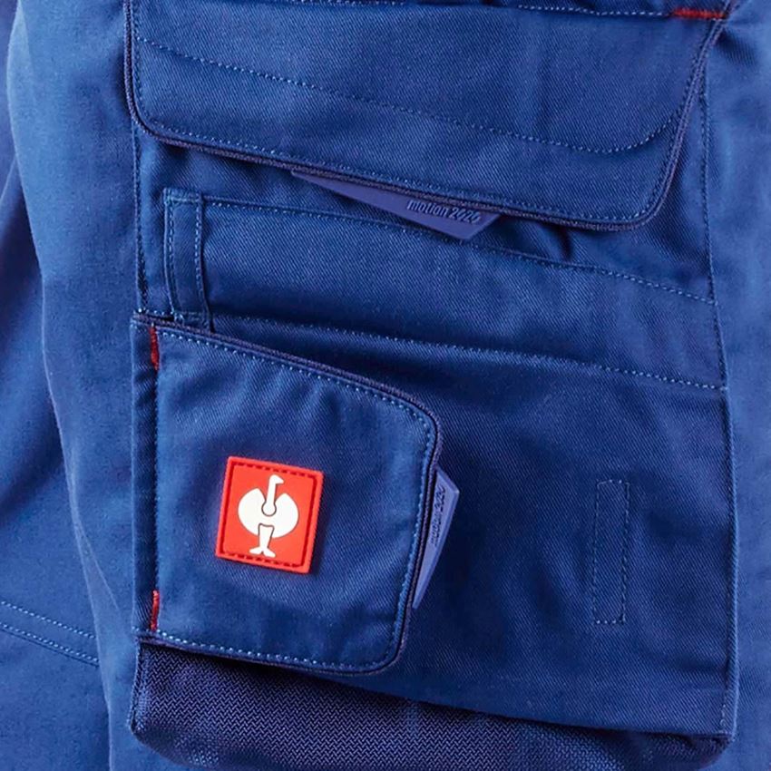 Werkbroeken: Tuinbroek e.s.motion 2020 + korenblauw/vuurrood 2