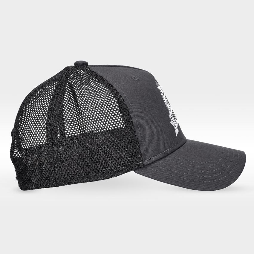 Accessoires: Pet e.s.iconic works + carbongrijs 2