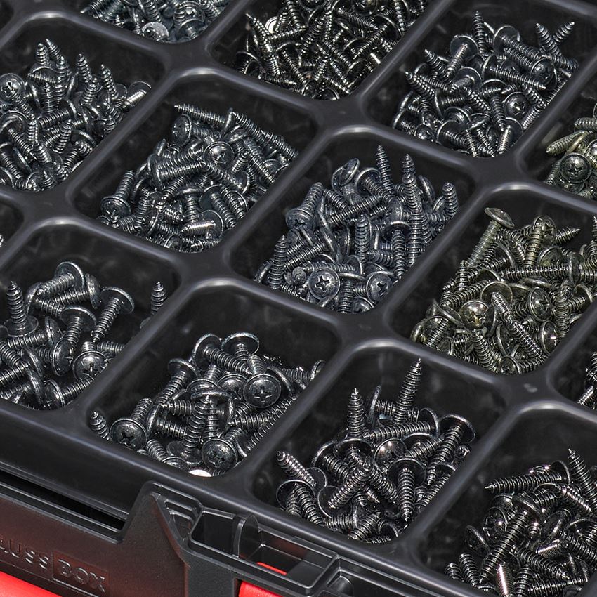 Schroeven: Assortiment plaatschroeven in STRAUSSbox 118 midi 2